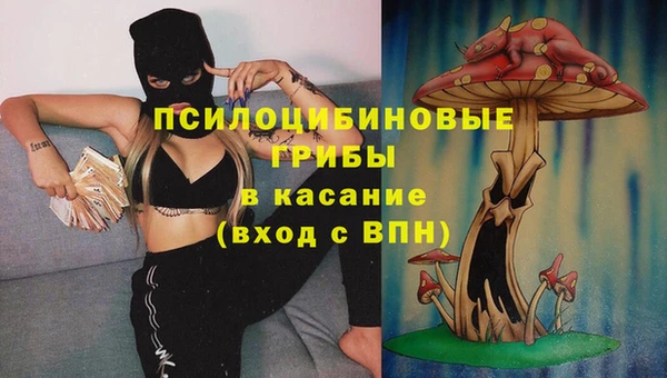 ECSTASY Алзамай