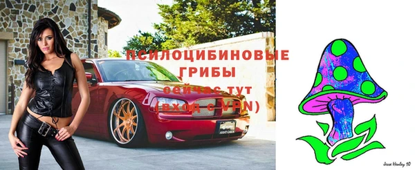 ECSTASY Абдулино